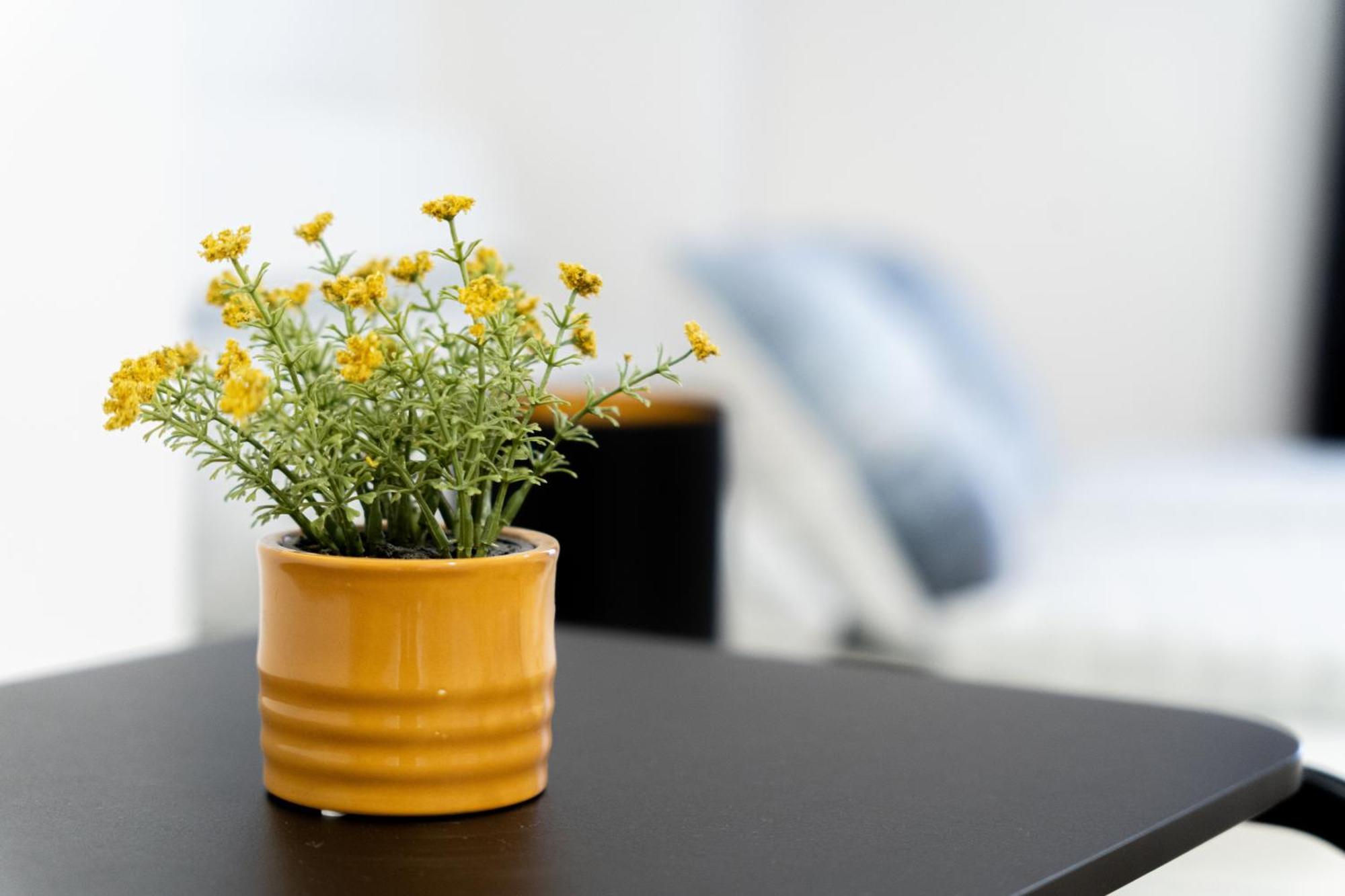 Apartmán 1 New Just Steps Away From Old Town And The Florence Bus Station *